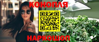 прущие крисы Новокубанск