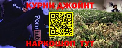 гашик Новодвинск
