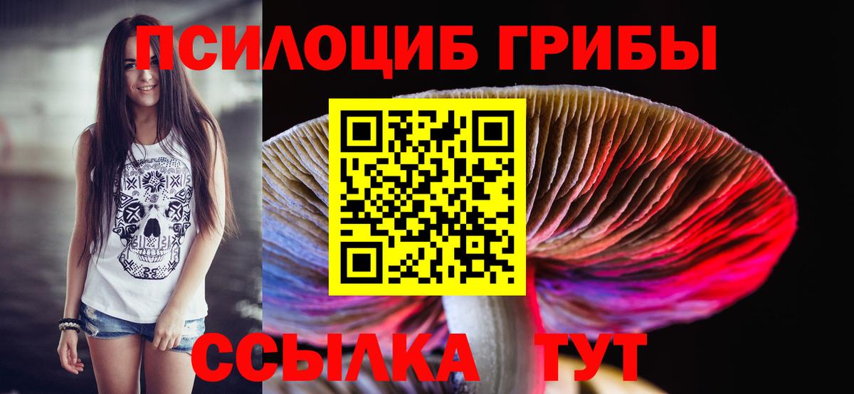 Галлюциногенные грибы GOLDEN TEACHER Славянск-на-Кубани